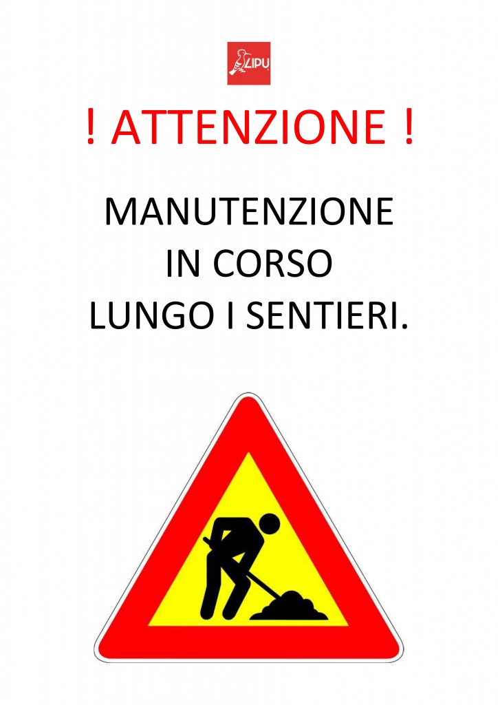 lavori in corso