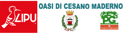 Oasi Lipu